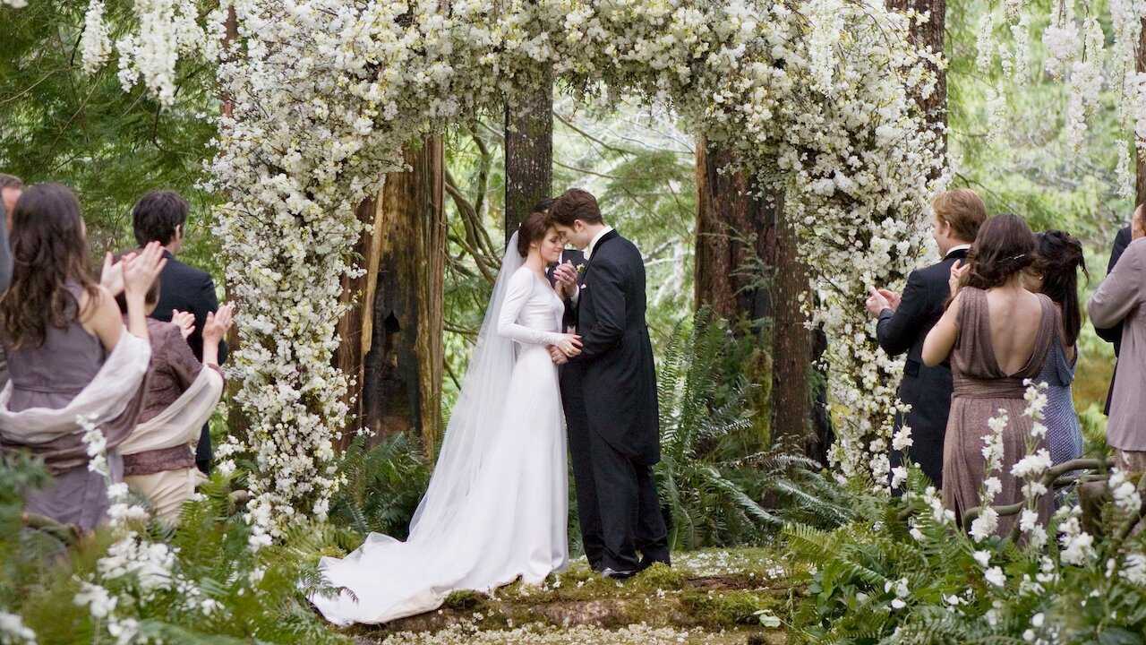 9 Films TWILIGHT BREAKING DAWN 1 photo 2